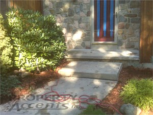 Dublin Pavers Celtic Steps